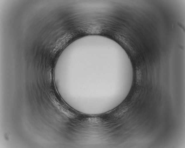 X0000100360541200806201607