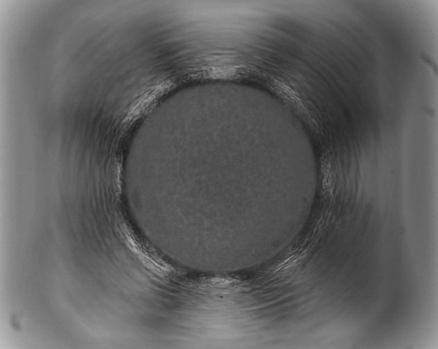 X0000100360542200806201607