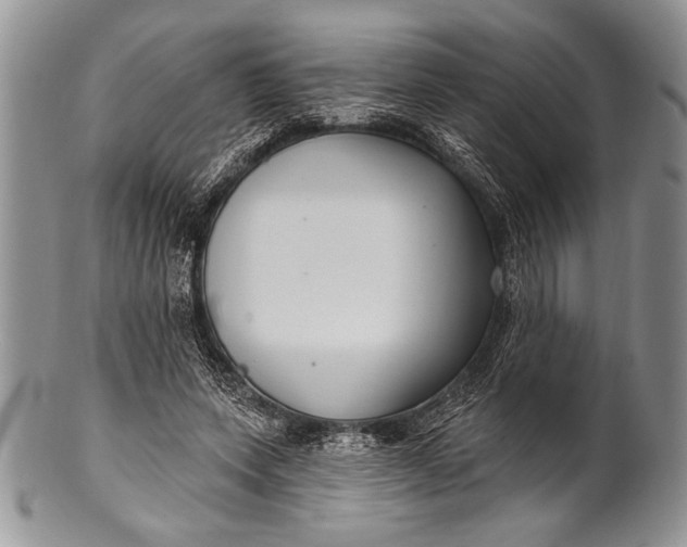 X0000100360543200806201607