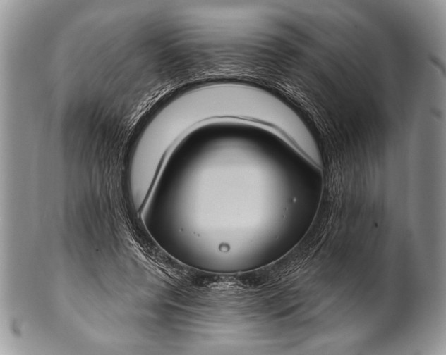 X0000100360544200806201607