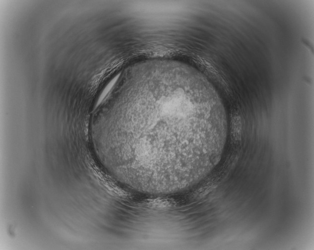 X0000100360545200806201607