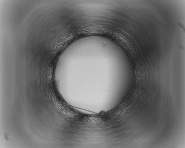 X0000100360546200806201607