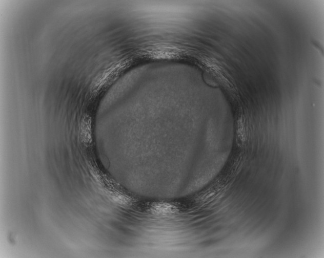 X0000100360547200806201607