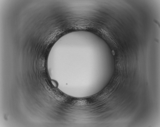 X0000100360548200806201607