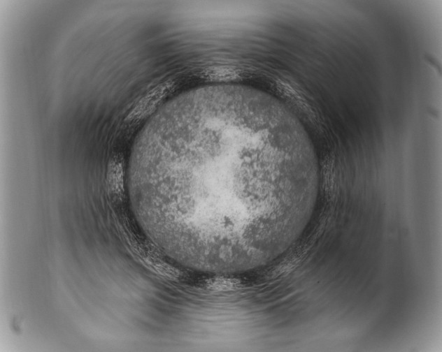 X0000100360549200806201607