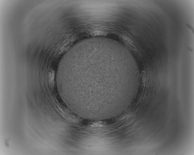 X0000100360550200806201607