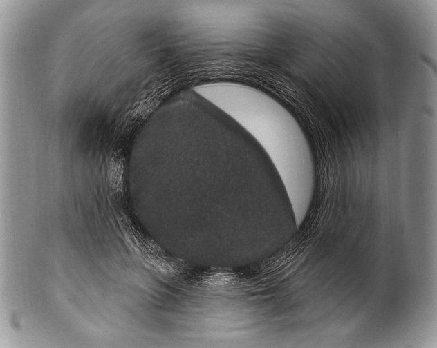 X0000100360551200806201607