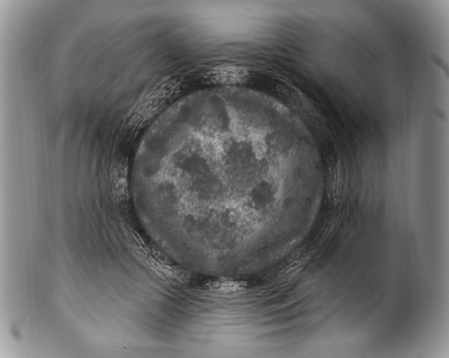 X0000100360553200806201607