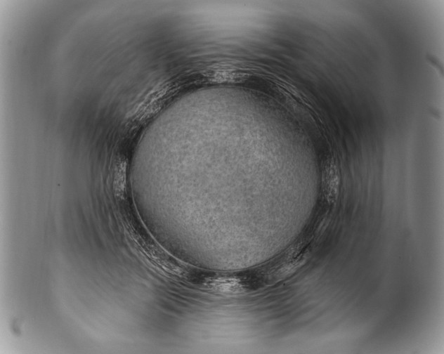 X0000100360554200806201607