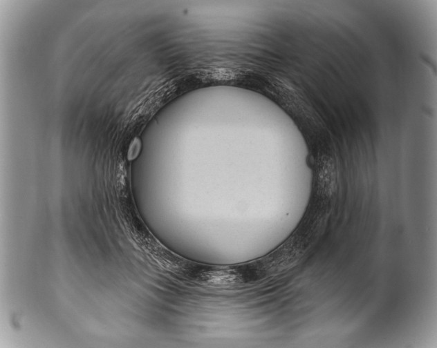 X0000100360555200806201607