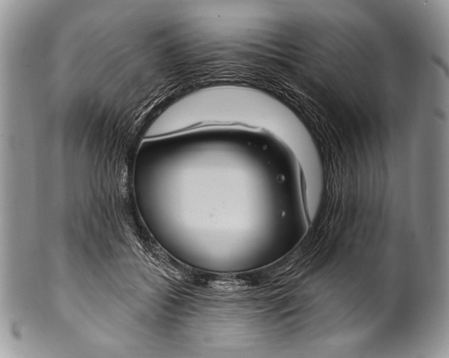 X0000100360556200806201607