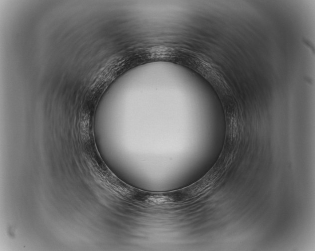 X0000100360557200806201607