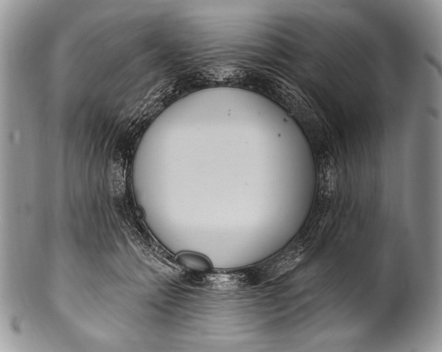 X0000100360558200806201607