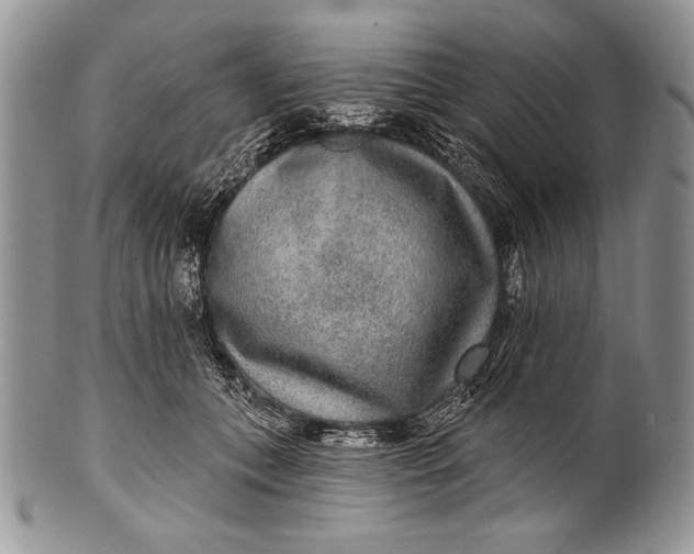 X0000100360559200806201607