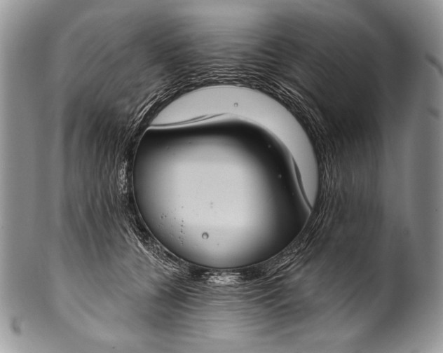 X0000100360560200806201607