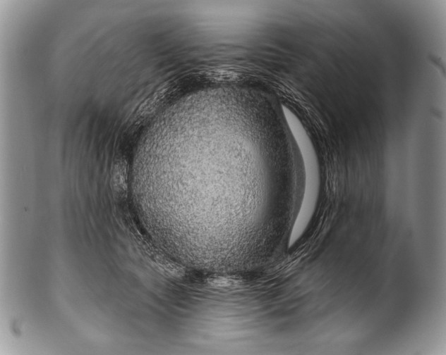 X0000100360561200806201607