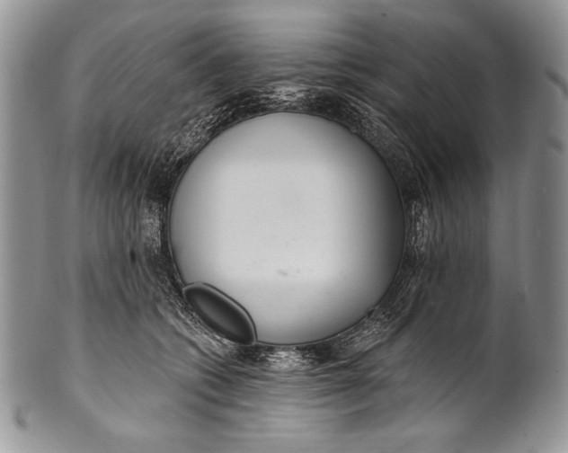 X0000100360562200806201607