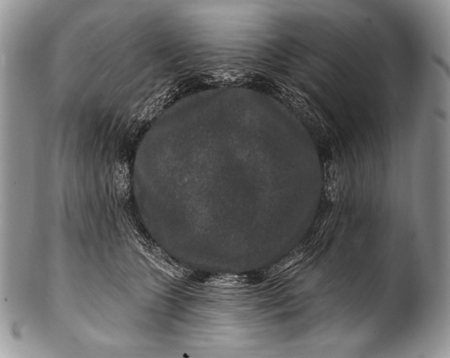 X0000100360563200806201607