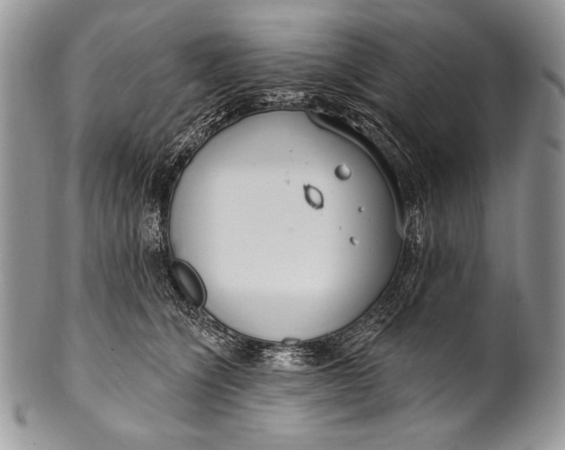 X0000100360564200806201607