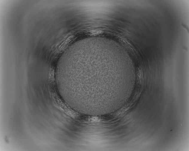 X0000100360565200806201607