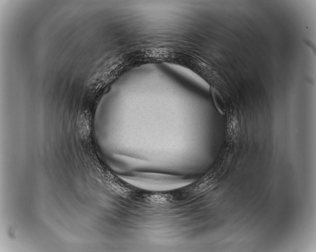 X0000100360566200806201607