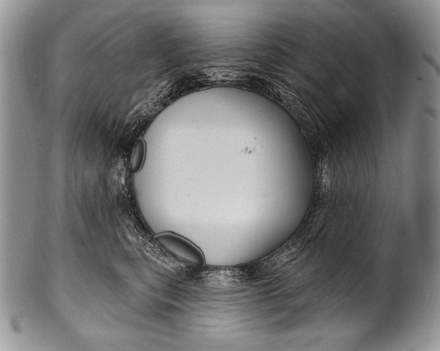 X0000100360567200806201607