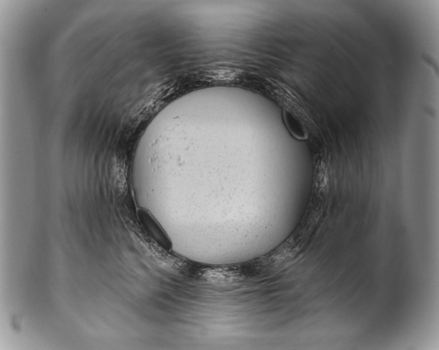 X0000100360568200806201607