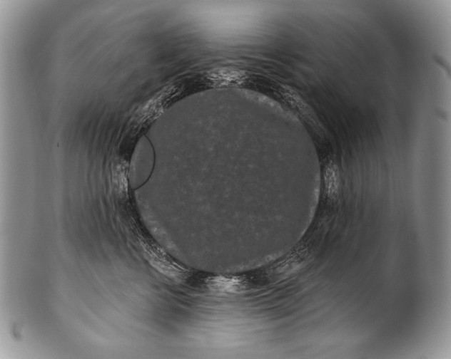 X0000100360570200806201607