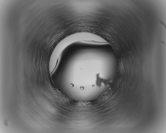 X0000100360571200806201607