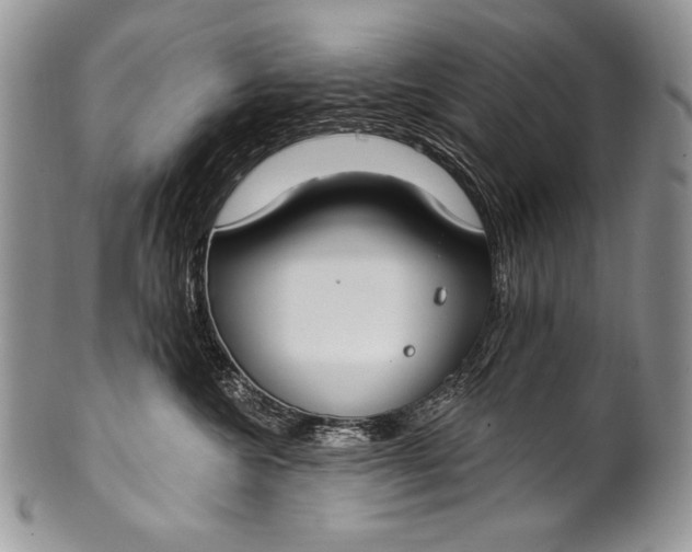 X0000100360572200806201607