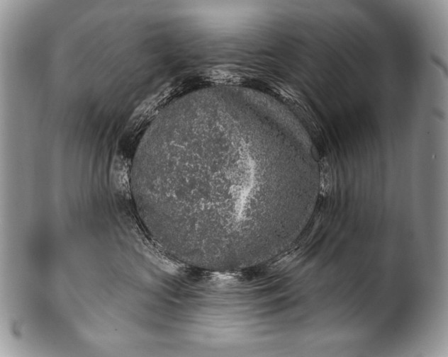 X0000100360573200806201607