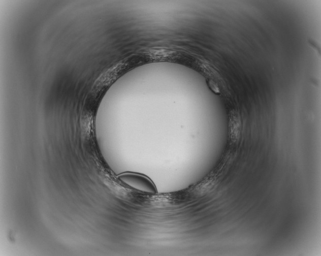 X0000100360574200806201607