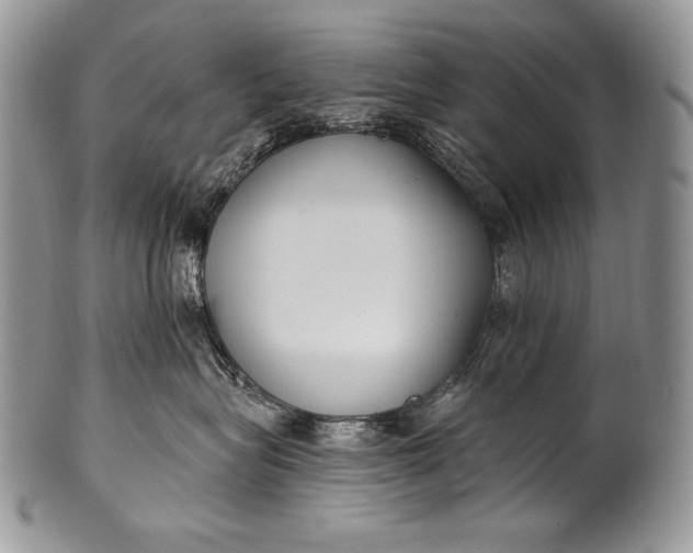 X0000100360575200806201607