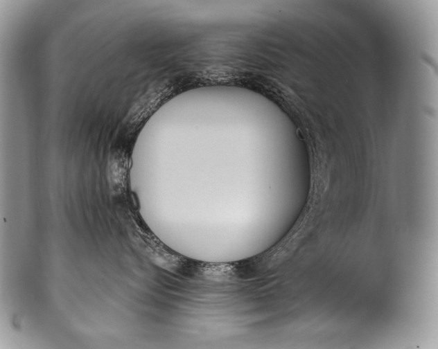 X0000100360576200806201607