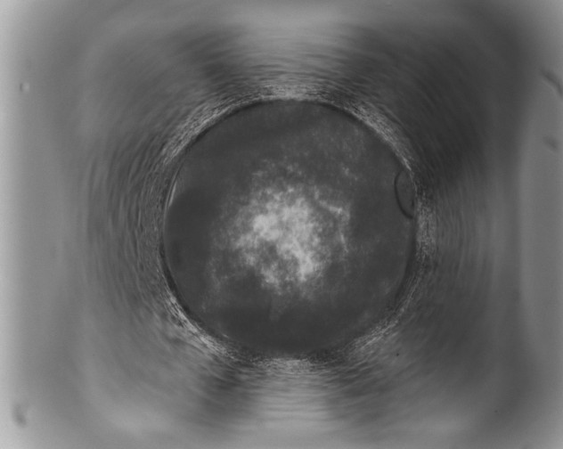 X0000100360577200806201607