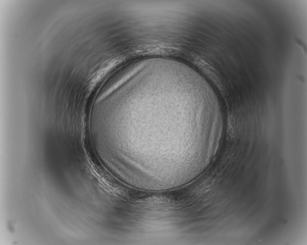 X0000100360578200806201607