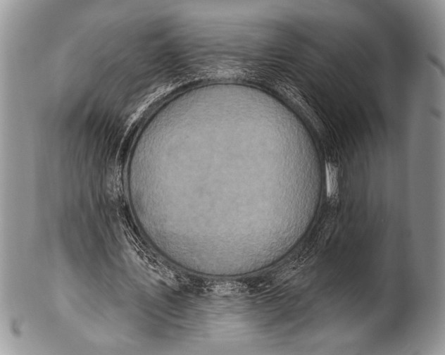 X0000100360579200806201607