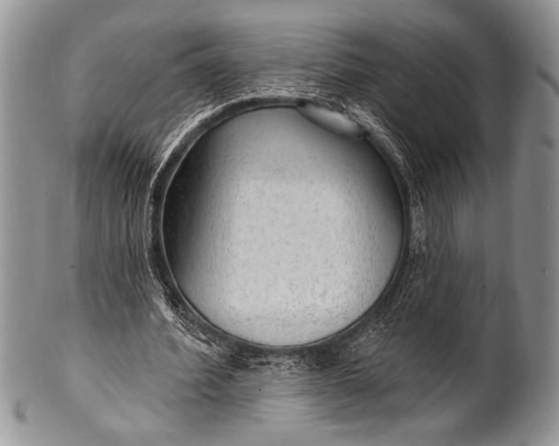 X0000100360580200806201607