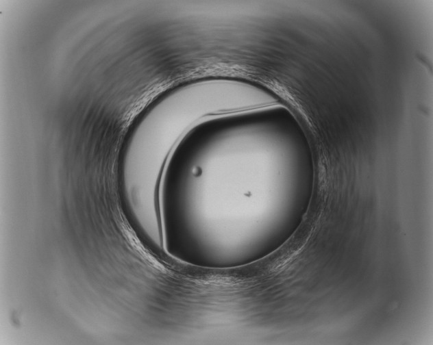 X0000100360581200806201607