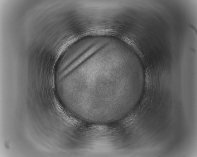 X0000100360582200806201607