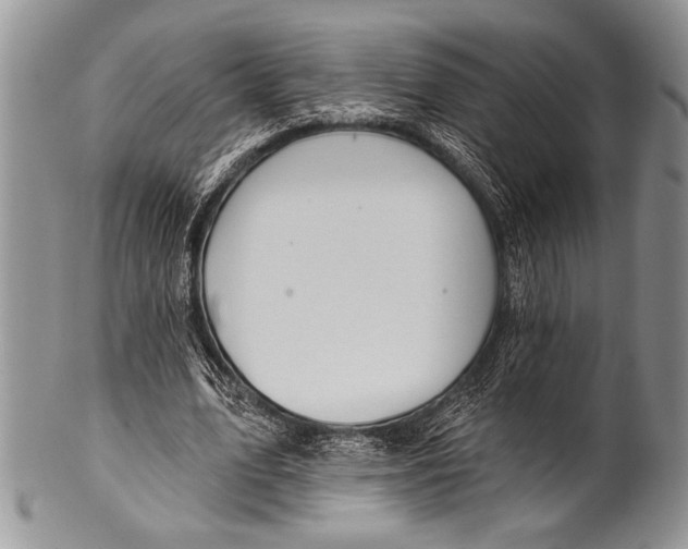 X0000100360583200806201607