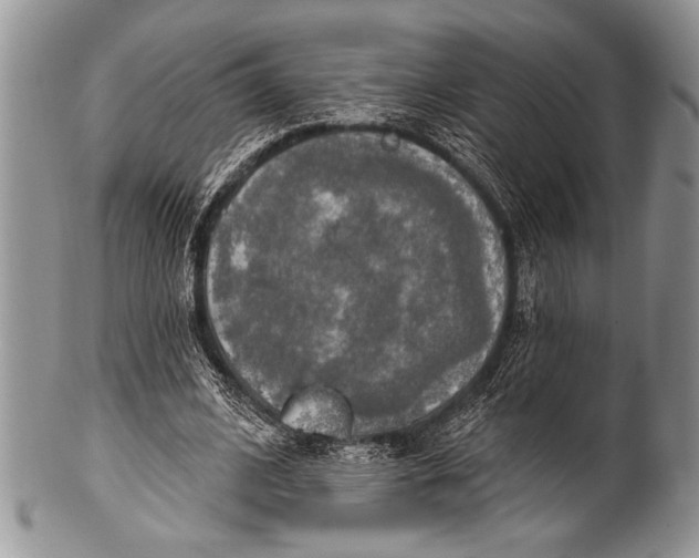 X0000100360584200806201607