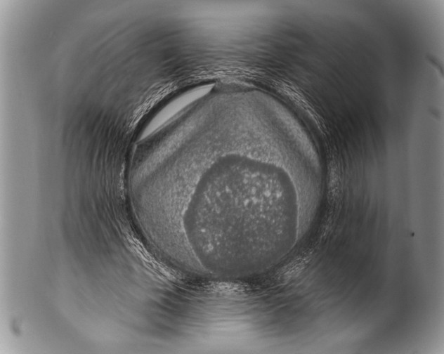 X0000100360585200806201607