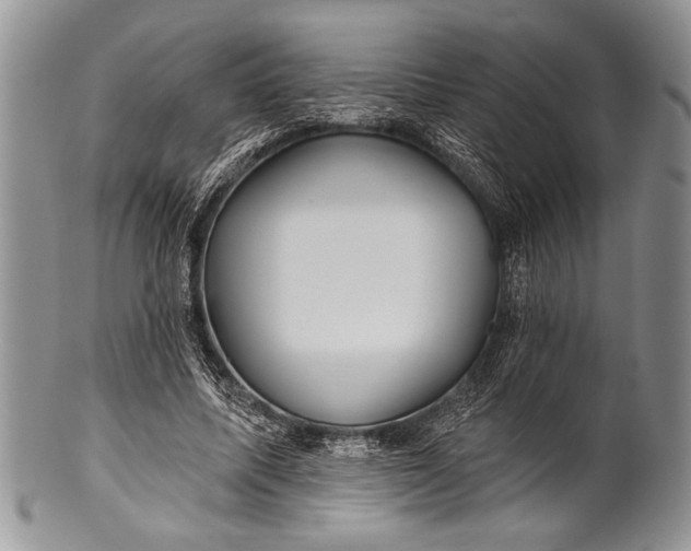 X0000100360587200806201606