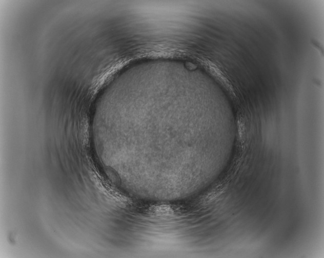 X0000100360588200806201606