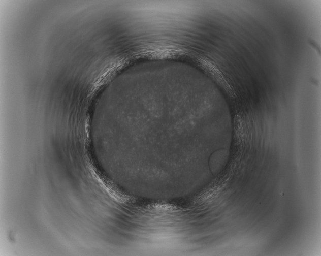 X0000100360590200806201606