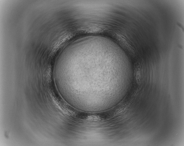 X0000100360591200806201606