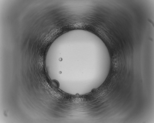 X0000100360593200806201606