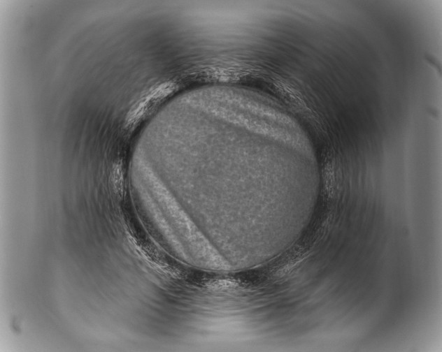 X0000100360594200806201606