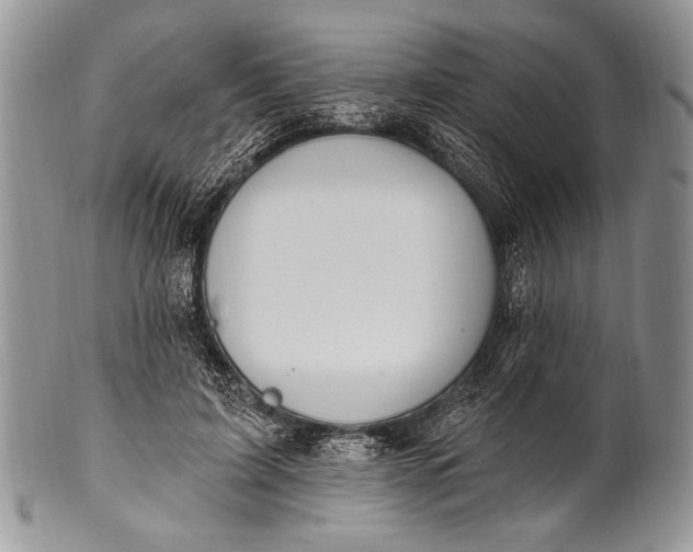 X0000100360595200806201606